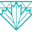 Diamond Net Vancouver logo