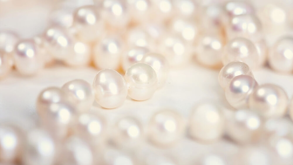 Pearls on a white background